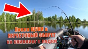 ЛОВЛЯ ЩУКИ В НЕРЕСТОВЫЙ ЗАПРЕТ НА СПИННИНГ С ЛОДКИ В Нижегородской области. Рыбалка в запрет