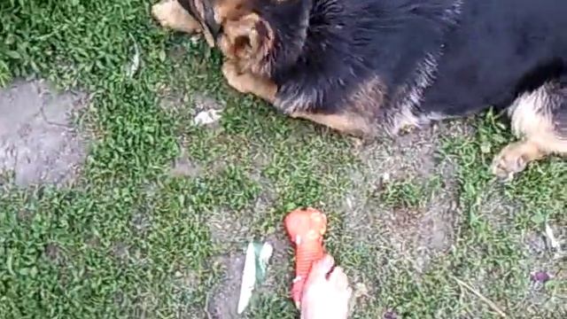 +100500 Щас спою.mp4 смотреть онлайн