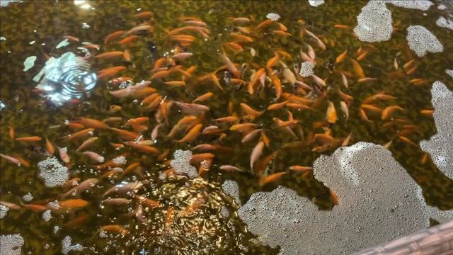 И как их делить? смотреть онлайн