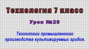 Технология 7 класс (Урок№29 - Технологии промышленного производства культивируемых грибов.)