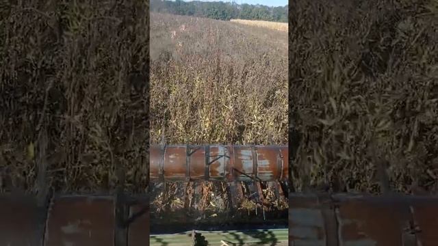 супер агроном   2