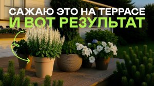Сажаю Это На Террасе И Вот Результат! Лучшие Растения Для Уличных Кашпо