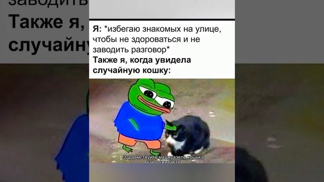 Мопс киноман 😂 лягушка передумала 🐸🤣 #мемы #приколы