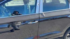 Skoda Karoq 2025 из Китая - стоит ли брать? Полный обзор "европ?