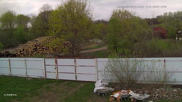 в/з40 Погрузчик без гос.номеров перевозит доски по улицу  Садовая до другого коровника