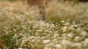 "А знаешь, всё самое лучшее - рядом..."