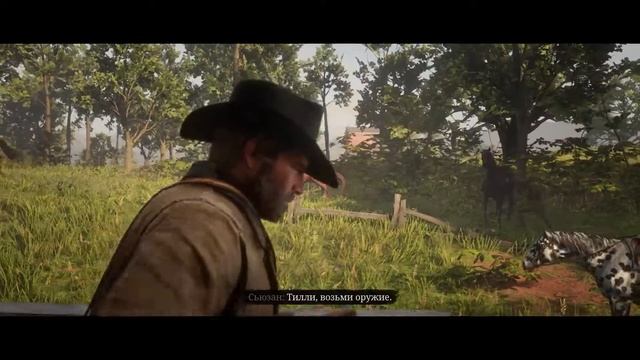 Red Dead Redemption 2 -  