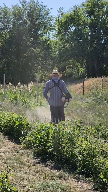 Ягодная ферма. Начало смотреть онлайн