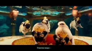 «Мопсики под водой» (КЛИП) Песня - на день мопсов.