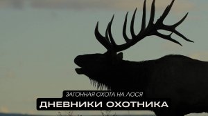 Загонная охота на лося. Дневники охотника