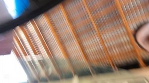 Как прозвонить датчик коленвала и распредвала до ЭБУ (