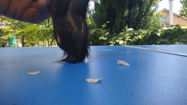 сам себе оператор или про леворукий якутский нож смотреть онлайн