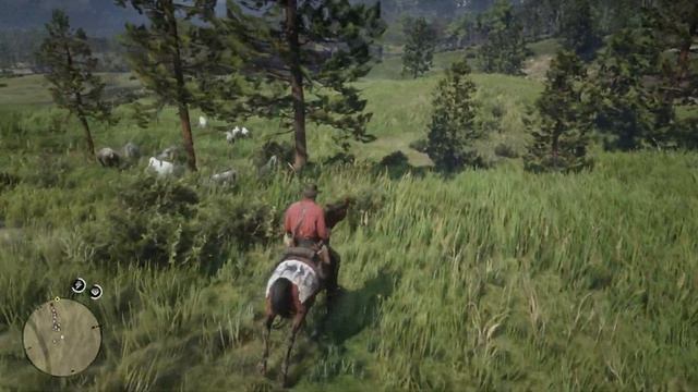 Red Dead Redemption 2 *12 Нагорье Подкова