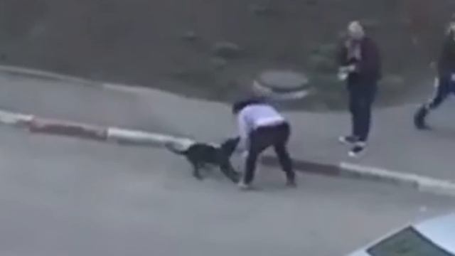 Настоящий бой собаки против человека. Анализ техники. смотреть онлайн