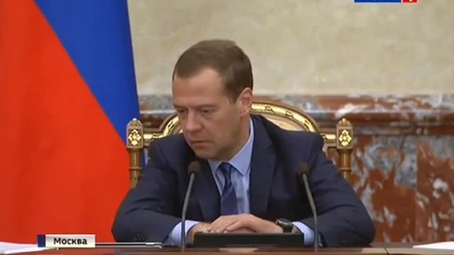 Медведев устроил разнос министру МЧС Пучкову 13 08 2015 смотреть онлайн