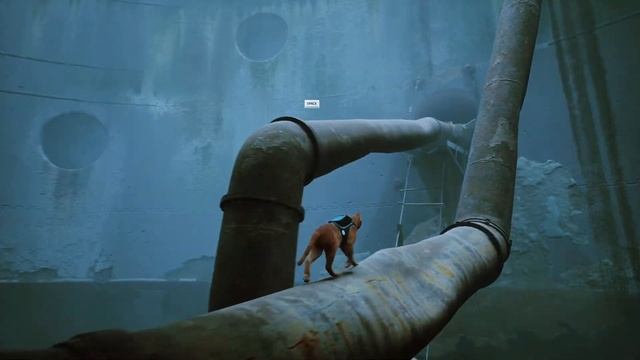 Шукаєм друзів)Бродяга) проходження ігри STRAY українською)серія 2