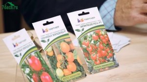 Лучшие томаты черри для засолки - гибриды из серии "Земледелец" от "Партнёра" - 7 дач