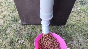 Автоматическая кормушка для собак "НЮАНСЫ" #автокорму?