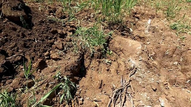 Хотели обновку., получите очередную! Вадим Викторович