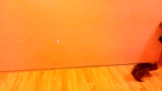 Вижу цель, не вижу препятствий смотреть онлайн