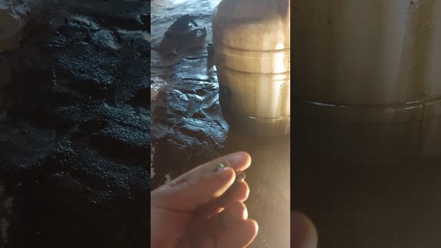 Замена масла мкпп Мицубиси Спейс Вагон 3