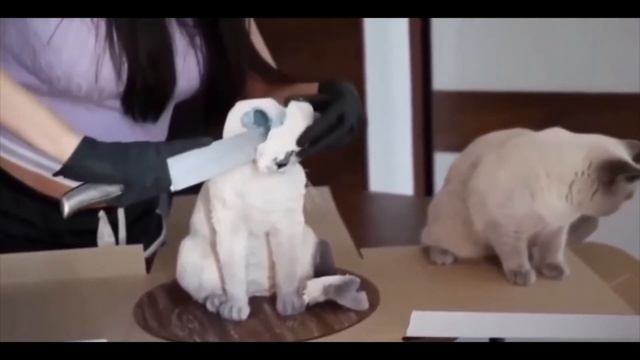 Приколы Январь 2021 #1 / Funny moments compilation 2021 смотреть онлайн