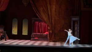 «Ромео и Джульетта» Елизавета Кокорева, Даниил Потапц