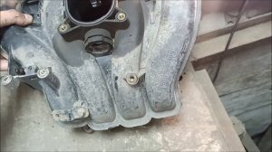 Устранение масложора Opel Vectra C Z2.2se часть 1из4