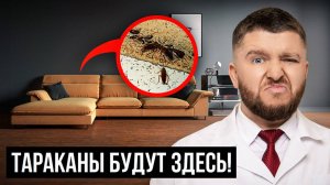 В ЭТИХ квартирах будут ТАРАКАНЫ! Причина появления тараканов в 2025 году