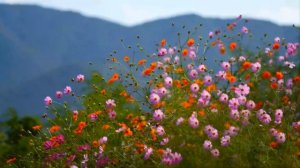 "Не там стоишь, не тут сидишь, не ту чашку берёшь..." - пос