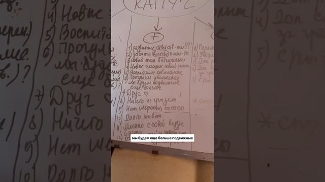 Как я уговорила мужа завести собаку #poodle #doglover