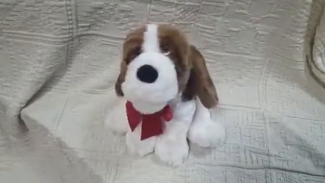 Лопоухий кавалер в интернет-магазине http://podarkivsem.biz