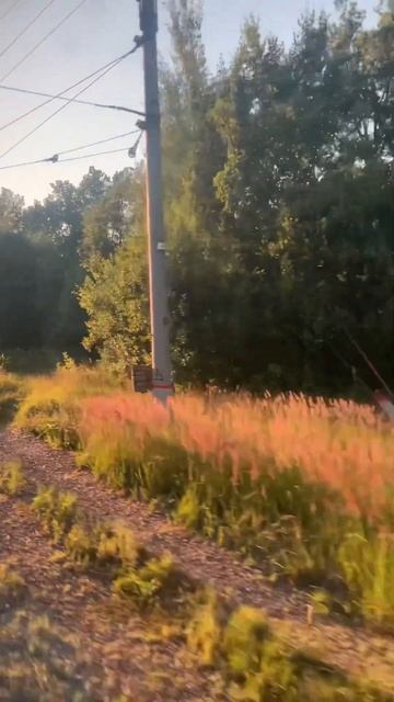 Игорь Цыба - ДЯДЯ ИЗЯ ПАТРИОТ смотреть онлайн