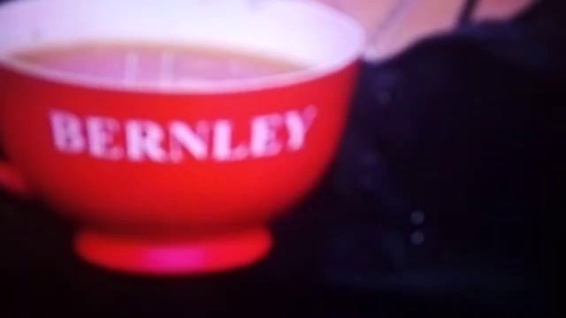 Голос-3 - партнёр Bernley