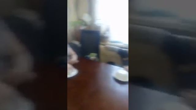 Челанж что находится под тарелка смотреть онлайн