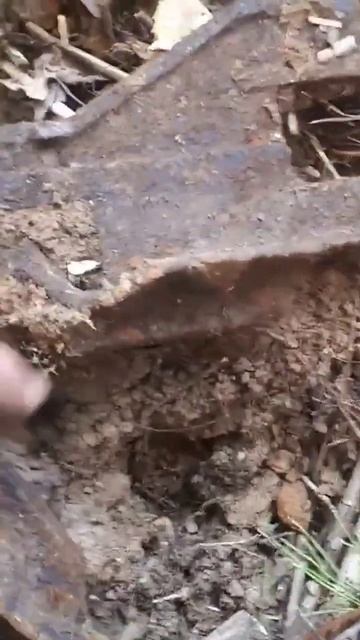 Железо есть везде #металлоискатель #коп смотреть онлайн