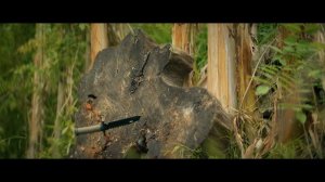 Дети-Шпионы - 2025 (05)