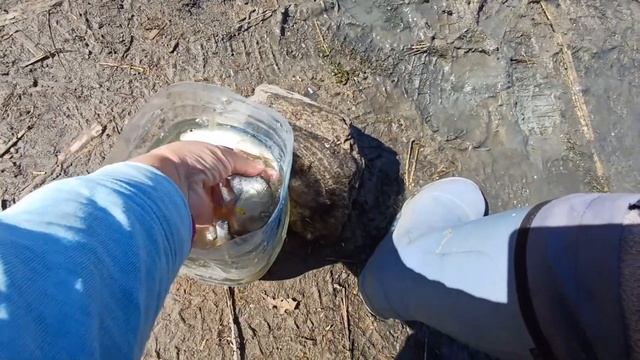 СТЕПА МАБУТЬ ОДРУЖИВСЯ смотреть онлайн