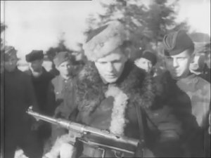 Партизанское движение в Беларуси, Советская хроника.