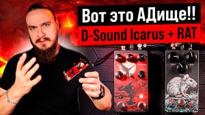❗ Вот это АДище ❗ D-Sound Icarus + RAT