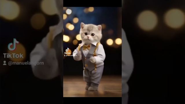 Кот танцует дает хорошего настроения 😂😂 #shorts #cat #pet #da