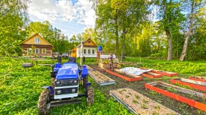 Начал соединять участки на хуторе. Собрал сруб в огороде. Погода позволила поработать на улице