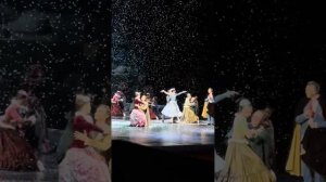 Мария Виноградова, Денис Родькин, Анюта, #bolshoitheatre #bolshoib