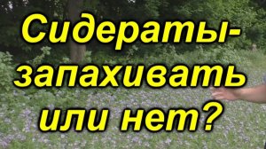 🌿 Сидераты весной: Лучший способ оживить почву!