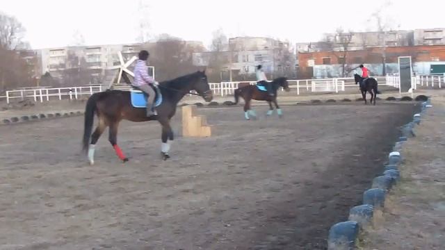 ДЮСШ КСК Воскресенск смотреть онлайн