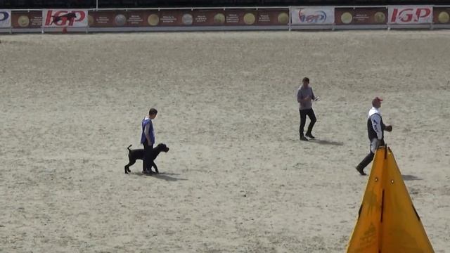 2024 IGP CACT Russia 45 Екатерина Тимофеева и Law Hanno Veto Ризеншнау?