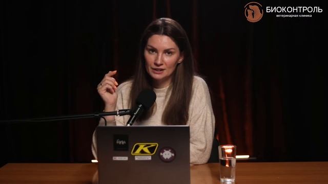 Зубы кошки: чистить или не чистить? 🤔 Вся правда от ве?