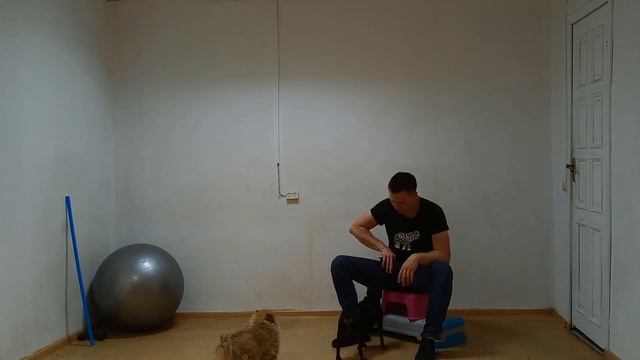 Цвергпипчер Дрессировка цвергпипчера Как дрессирова? смотреть онлайн