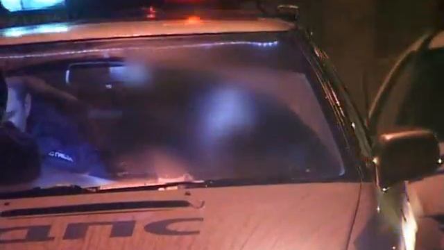 Сотрудники ДПС применили табельное оружие, пытаясь ос смотреть онлайн