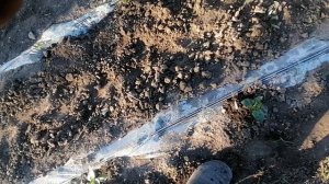 КАК ПОЛИТЬ ОГОРОД БЕЗ ДАВЛЕНИЯ ВОДЫ.